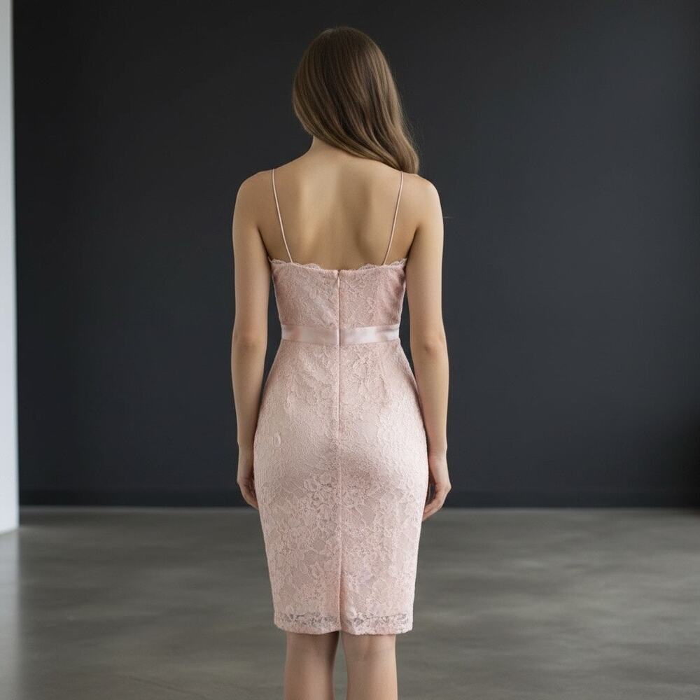 Bebe Blush Striped Mesh Lace Satin Midi Dress - Picture 2 of 6
